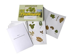 Гербарий "Морфология растений" (6 тем, 30 видов) - fgospostavki.ru - Апрелевка