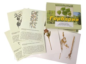 Гербарий "Систематика растений. Семейство Бобовые. Злаки" (раздаточный) - fgospostavki.ru - Апрелевка