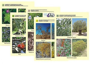 Гербарий фотографический по географии - fgospostavki.ru - Апрелевка