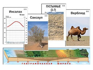 Модель-аппликация "Природные зоны" - fgospostavki.ru - Апрелевка