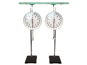 Динамометр демонстрационный (пара) - fgospostavki.ru - Апрелевка