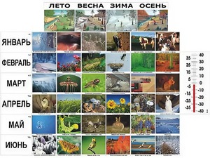 Фенологические наблюдения - fgospostavki.ru - Апрелевка