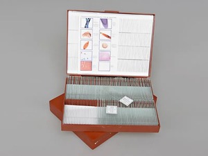 Комплект микропрепаратов "Общая биология" - fgospostavki.ru - Апрелевка