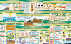 Комплект таблиц "Экология (9 листов)" (100х140 сантиметров, винил) - fgospostavki.ru - Апрелевка