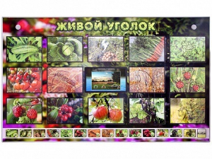 Комплект оборудования "Живой уголок" (растения) с тифлопереводом и сурдокомментариями - fgospostavki.ru - Апрелевка