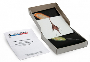 Модель-аппликация "Одноклеточные водоросли" (набор из 24 карт) - fgospostavki.ru - Апрелевка