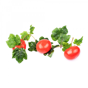 Ветка муляжей "Помидоры" - fgospostavki.ru - Апрелевка