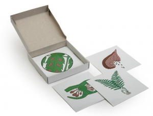 Модель-аппликация "Размножение папоротника" (набор из 8 карт) - fgospostavki.ru - Апрелевка