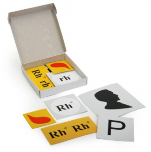 Модель-аппликация "Наследование резус-фактора" (набор из 19 карт) - fgospostavki.ru - Апрелевка