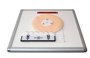 Комплекс "Изучение зубьев" - fgospostavki.ru - Апрелевка