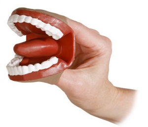 Муляж артикуляционного аппарата - fgospostavki.ru - Апрелевка