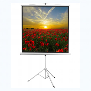 Экран на штативе DSKD-1105  - fgospostavki.ru - Апрелевка