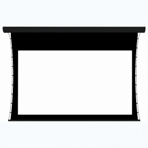 Экран настенный с электроприводом DSTPX-16918 - fgospostavki.ru - Апрелевка