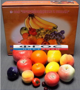 Набор муляжей фруктов (большой из 13 штук) - fgospostavki.ru - Апрелевка