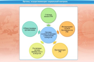Интерактивные курсы. Обществознание 11 класс. Базовый - fgospostavki.ru - Апрелевка