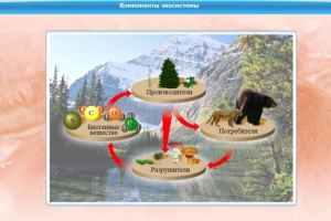 Интерактивные курсы. Биология 7 класс. Базовый. - fgospostavki.ru - Апрелевка