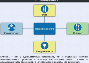 Интерактивные курсы. Биология 5 класс. Базовый - fgospostavki.ru - Апрелевка