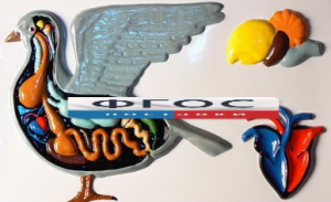 Модель барельефная "Внутреннее строение голубя" - fgospostavki.ru - Апрелевка