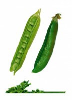 Комплект карточек "Запоминай, играй, считай" - Овощи - fgospostavki.ru - Апрелевка