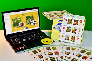 Коллекция натурально-интерактивная "Семена и плоды" - fgospostavki.ru - Апрелевка