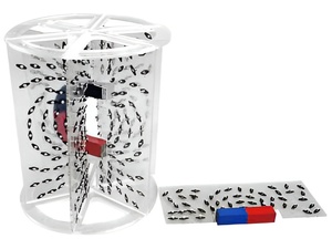 Модель для демонстрации в объеме линий магнитного поля - fgospostavki.ru - Апрелевка