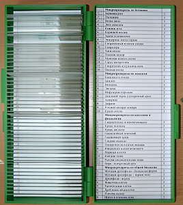 Набор микропрепаратов - fgospostavki.ru - Апрелевка