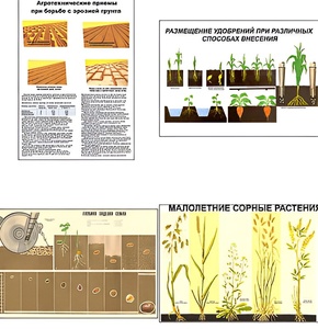 Плакаты ПРОФТЕХ "Агрономия" (5 пл, винил, 70х100) - fgospostavki.ru - Апрелевка