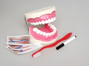 Игровой комплект "Чистим зубы" - fgospostavki.ru - Апрелевка