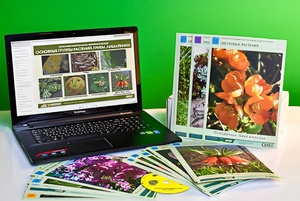 Гербарий натурально-интерактивный "Основные группы растений. Грибы. Лишайники" - fgospostavki.ru - Апрелевка