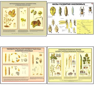 Плакаты ПРОФТЕХ "Вредители и болезни с/х культур и меры борьбы с ними" (11 пл, винил, 70х100) - fgospostavki.ru - Апрелевка