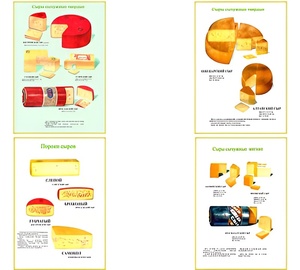 Плакаты ПРОФТЕХ "Ассортимент сыров" (9 пл, винил, 70х100) - fgospostavki.ru - Апрелевка