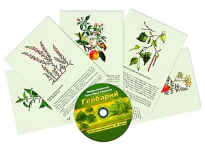Интерактивный наглядный комплекс "Гербарий "Для начальной школы" - fgospostavki.ru - Апрелевка