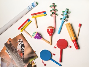 Комплект шумовых музыкальных инструментов - fgospostavki.ru - Апрелевка