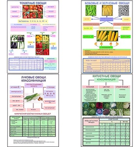 Плакаты ПРОФТЕХ "Классификация овощей" (11 пл, винил, 70х100) - fgospostavki.ru - Апрелевка