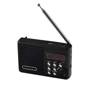 Радиоприемник цифровой с крупными кнопками - fgospostavki.ru - Апрелевка