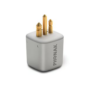 FM-приемник Roger X - fgospostavki.ru - Апрелевка