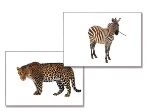 Дидактическое пособие "Дикие животные" - fgospostavki.ru - Апрелевка