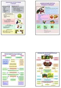 Плакаты ПРОФТЕХ "Классификация овощей и переработка" (8 пл, винил, 70х100) - fgospostavki.ru - Апрелевка