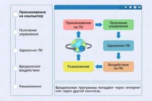Интерактивные курсы. Информатика 10 класс . Базовый. - fgospostavki.ru - Апрелевка