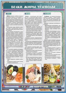 Стенд "Белки. Жиры. Углеводы" - fgospostavki.ru - Апрелевка