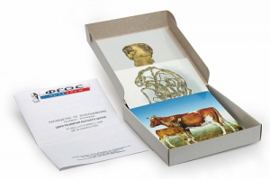 Модель-аппликация "Цикл развития бычьего цепня" (набор из 7 карт) - fgospostavki.ru - Апрелевка