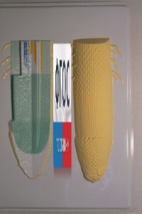 Модель барельефная "Клеточное строение корня" - fgospostavki.ru - Апрелевка