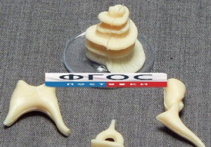 Модель "Косточки слуховые" - fgospostavki.ru - Апрелевка