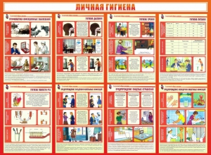 Стенд "Личная гигиена" - fgospostavki.ru - Апрелевка