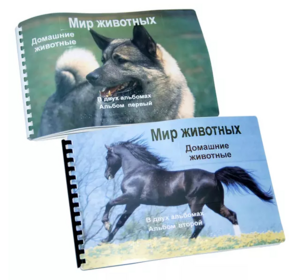 Пособие для слабовидящих - Домашние животные - fgospostavki.ru - Апрелевка