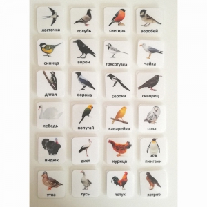 Набор карточек "ПТИЦЫ" - fgospostavki.ru - Апрелевка