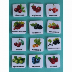 Набор карточек "Ягоды" - fgospostavki.ru - Апрелевка