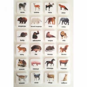 Набор карточек "ЖИВОТНЫЕ" - fgospostavki.ru - Апрелевка