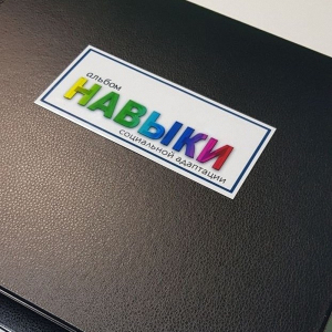 Навыки социальной адаптации. Развивающие пособие на липучках  - fgospostavki.ru - Апрелевка