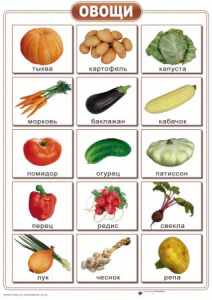 Таблицы "Окружающий мир" (формат А2, ламинированные, 10 таблиц) - fgospostavki.ru - Апрелевка